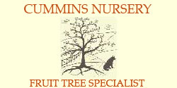 Cummins Nursery - Fruit Tree Specialist