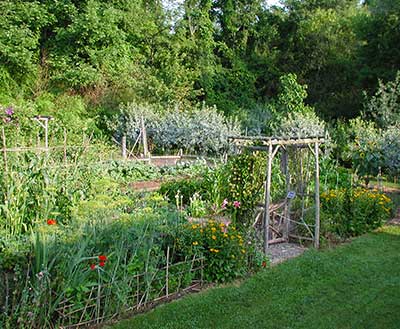 north vegetable garden from the south
