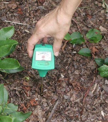 Digital moisture probe.