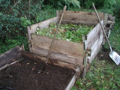 Compost, in the making