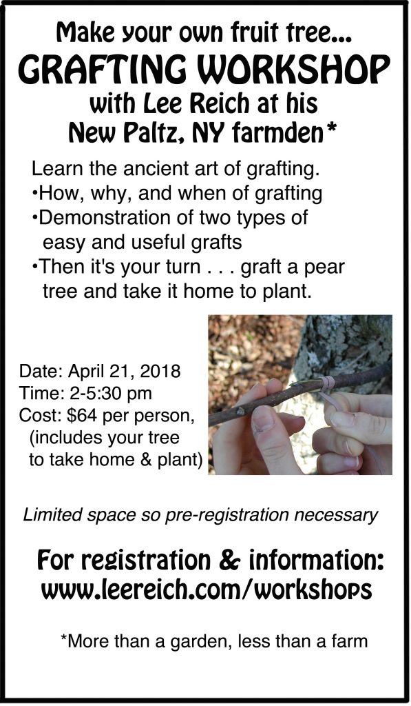 Make a tree 