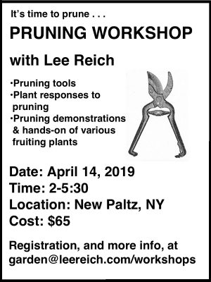Pruning workshop announcement