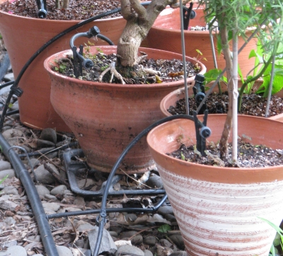 Drip tubes to potted plants