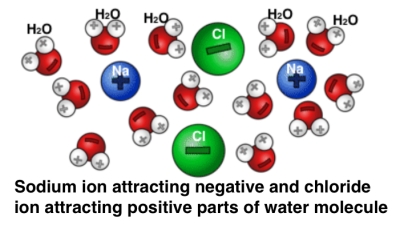 Salt and water ions