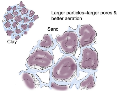 Soil water vs. particle size