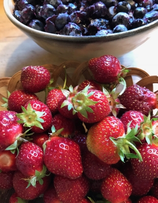 First blueberries on heels of last strawberries