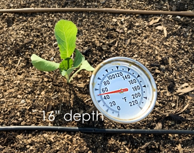 Temperature deeper in the soil