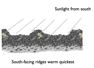 Soil warmed on ridges