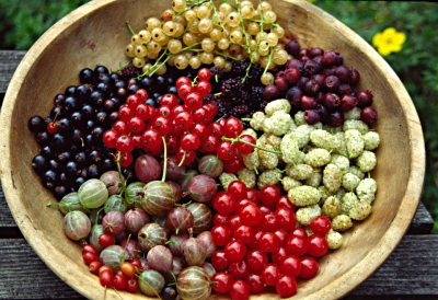 Early summer fruits