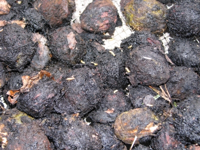 Nuts before cleaning
