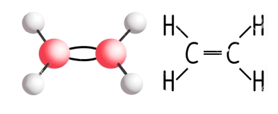 Ethylene structure